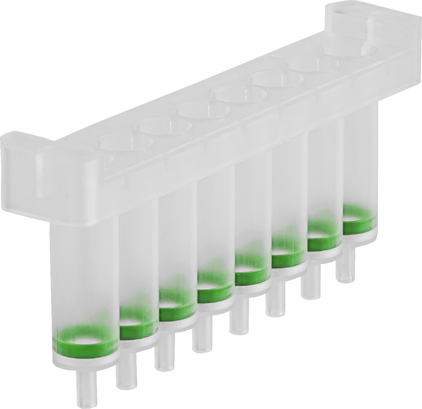 DNA z tkanek i komórek Ręczna bądź automatyczna izolacja (HTP) NucleoSpin 8 Tissue Core Kit