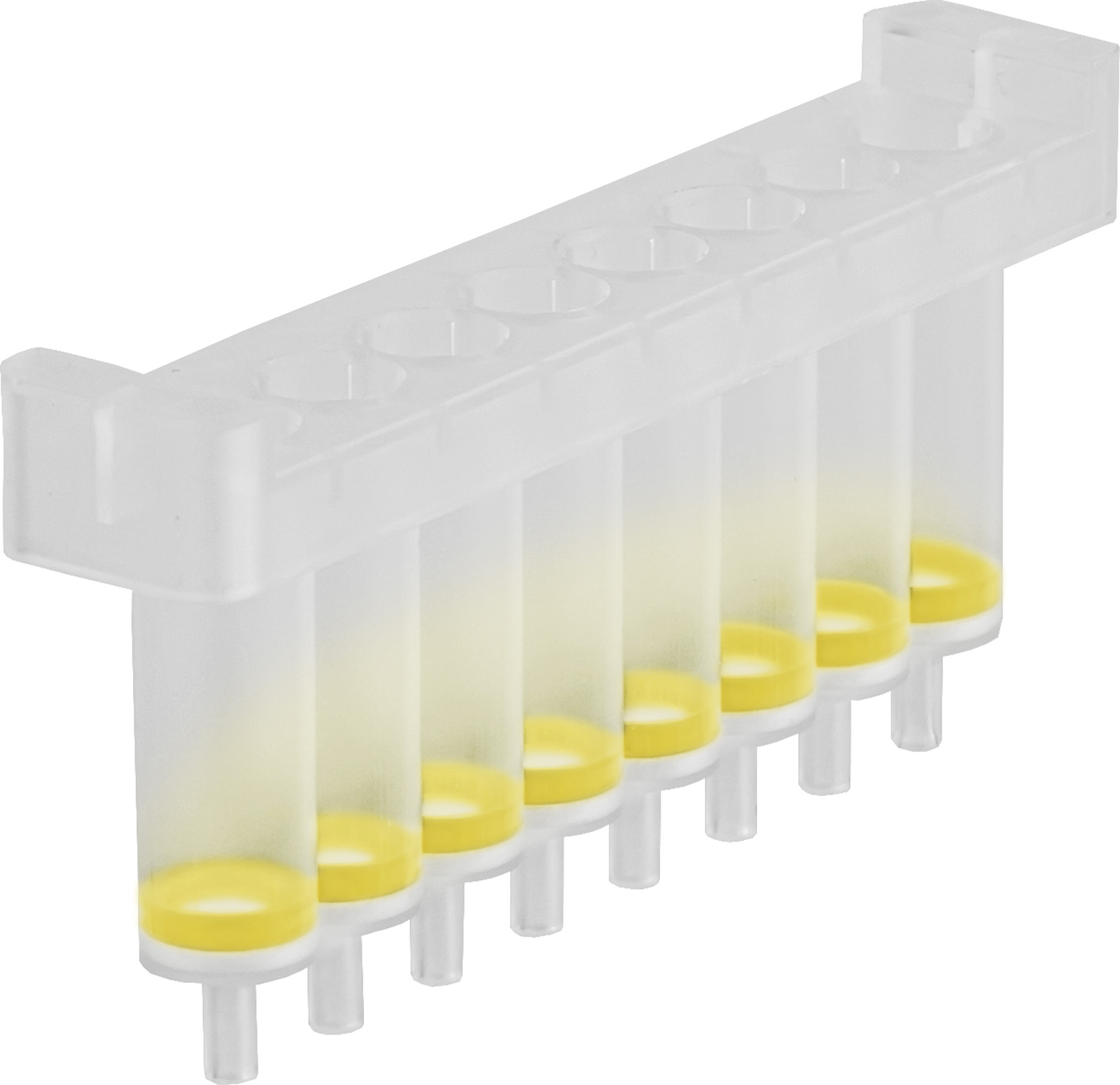 Oczyszczanie z żelu i mieszanin PCR Oczyszcznie z mieszanin PCR NucleoSpin 8 PCR Clean-up Core Kit
