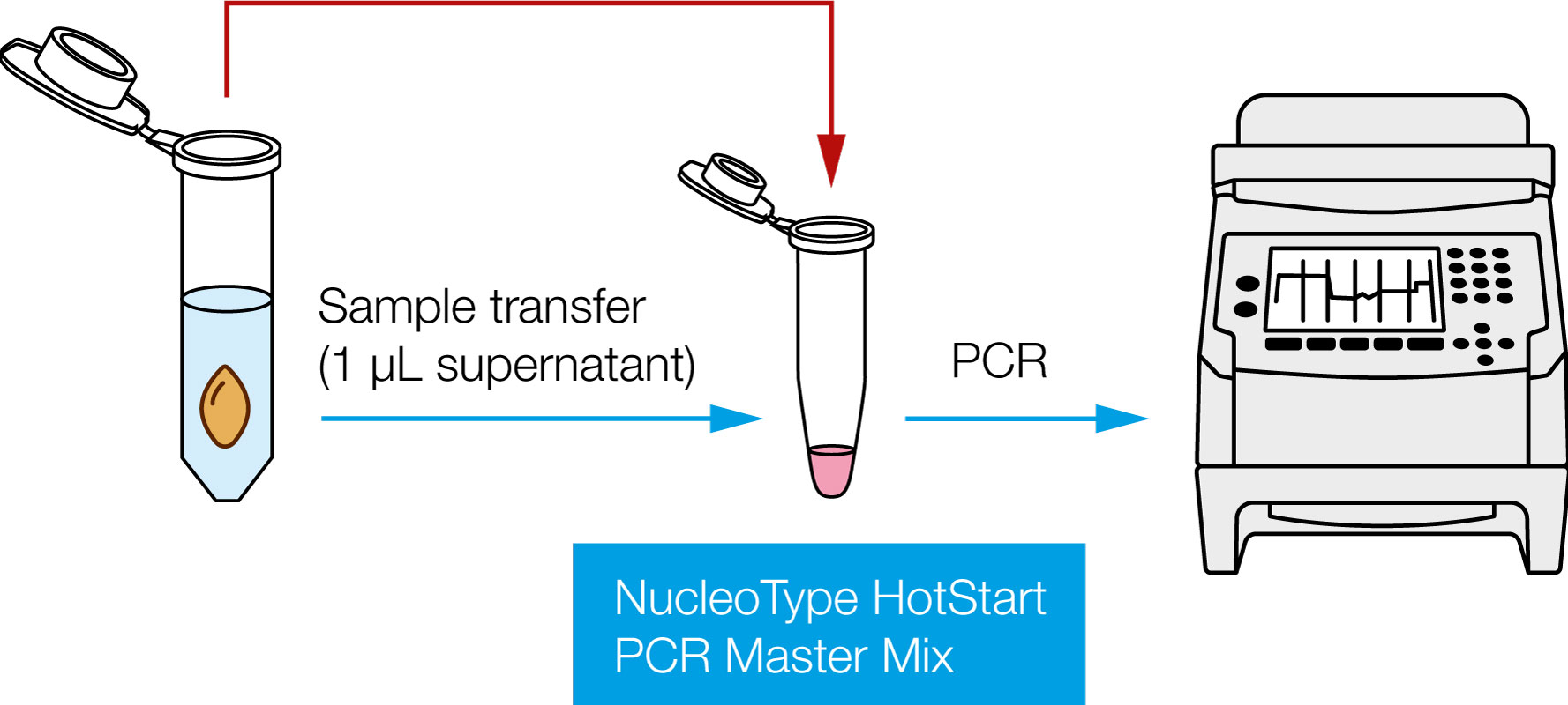 Direct PCR Direct PCR gDNA izolacja i amplifikacja z nasion NucleoType Seed PCR
